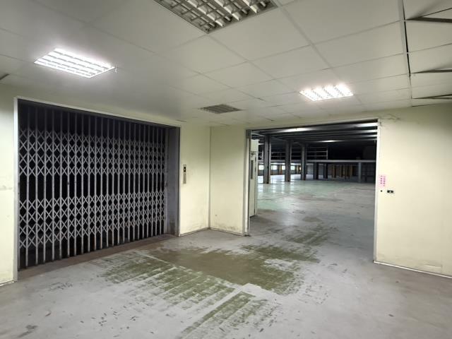 新北樹林廠房-0